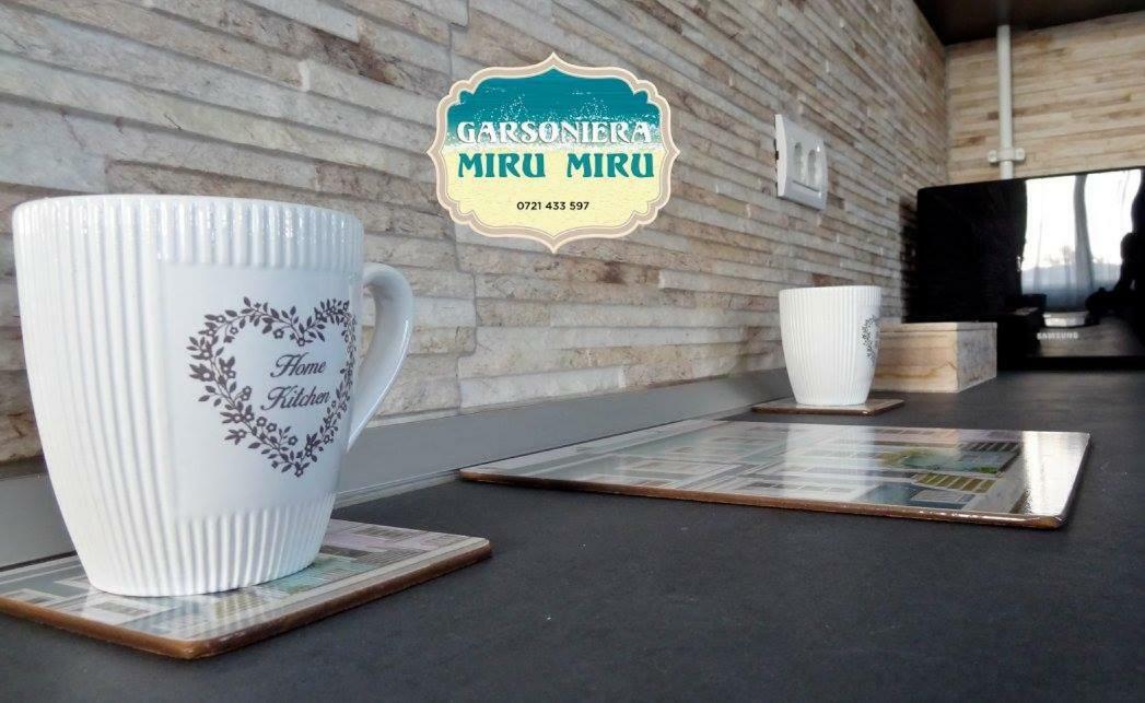 Garsoniera Miru Miru Leilighet Năvodari Eksteriør bilde